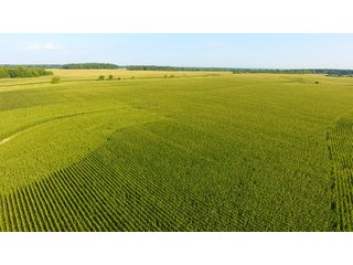 TRACT 4 - ILLINOIS LAND AUCTION - 4,810+/- ACRES OFFERED IN 85 TRACTS IN FRANKLIN, WILLIAMSON, HAMILTON & SALINE COUNTIES, ILLINOIS